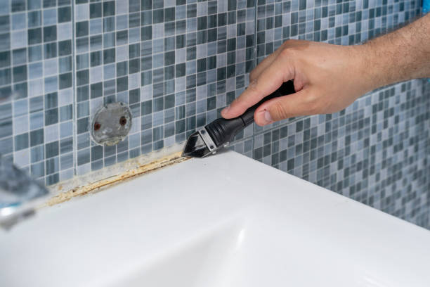 Best Commercial Mold Remediation in Hyde Park, UT